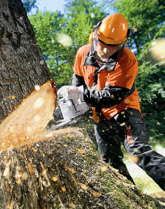 tree removal wollongong